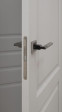 Межкомнатная дверь QD-1 ПГ Эмлайн Грей Quest doors